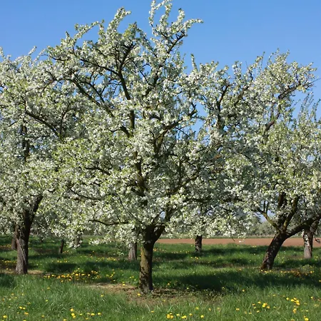 Calme Pres Du De Madine, Avec Jardin Prive, Cuisine Equipee Et Inclus - Fr-1-585-64